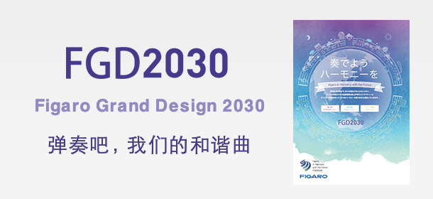 FGD2030