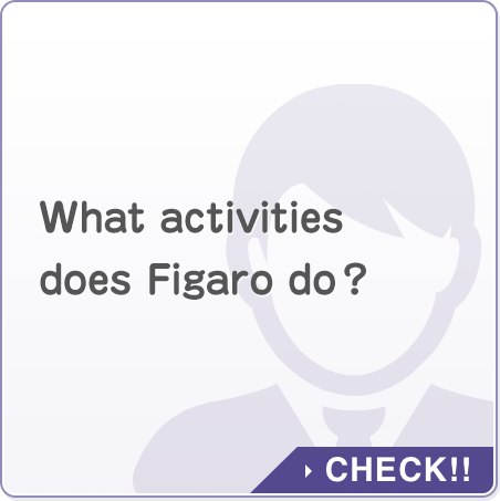 What activities does Figaro do?
