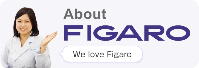About FIGARO we love Figaro