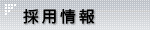 採用情報