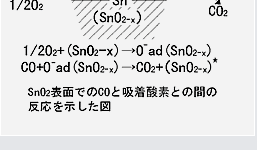 図２