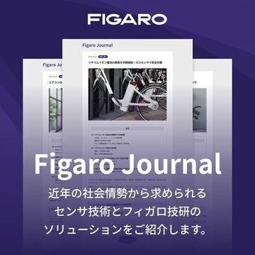 Figaro Journal.jpg